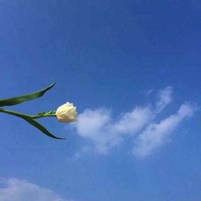 船用燃料一周内暴涨30%至35%！
